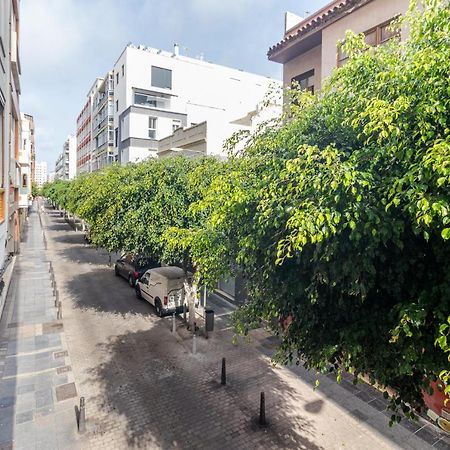 Flatguest Malva Studio Las Palmas de Gran Canaria Luaran gambar